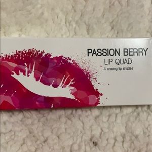 Coastal Scents Passion Berry Lip Quad